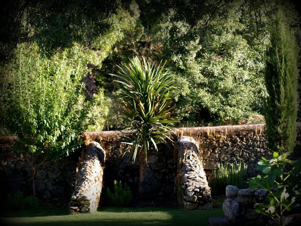 Almazara De San Pedro (Adults Only) Guest House Eljas Bagian luar foto
