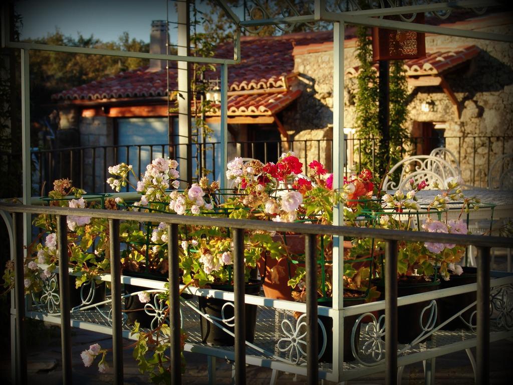Almazara De San Pedro (Adults Only) Guest House Eljas Bagian luar foto